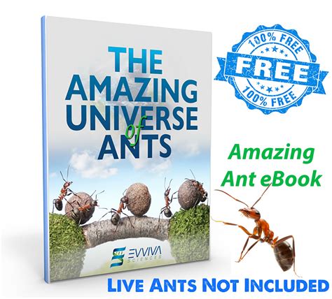 Amazing Ant Habitat W/ LED Light. Enjoy A Magnificent Habitat. Great for Kids & Adults. Evviva ...