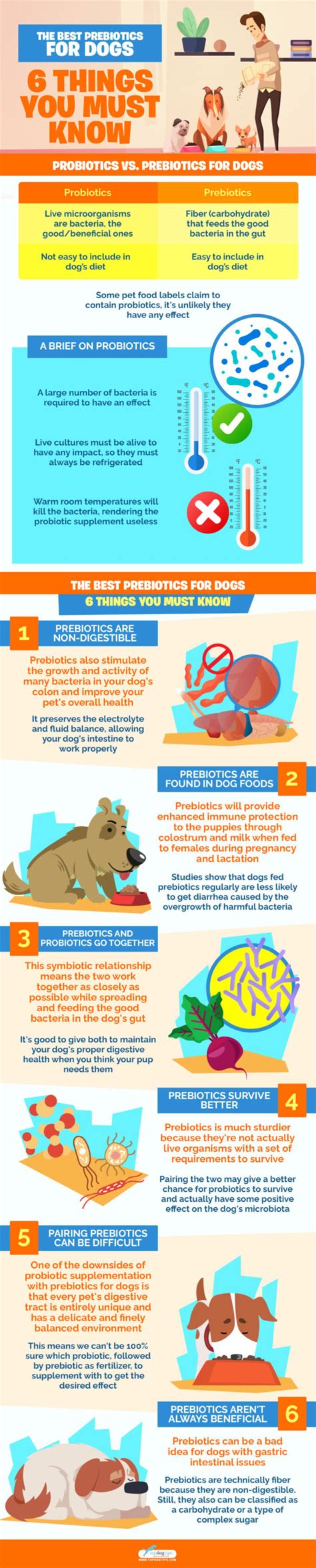 Prebiotics for Dogs: 6 Things You Must Know About Them