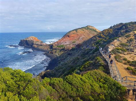 Spectacular Views of Cape Schanck National Park | The Travel Junkie