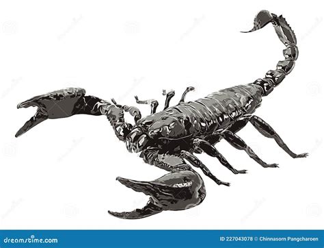 Scorpion isolated stock vector. Illustration of invertebrate - 227043078