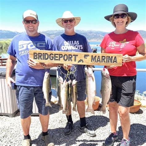 Bridgeport Reservoir Fish Report - Bridgeport, CA (Mono County)