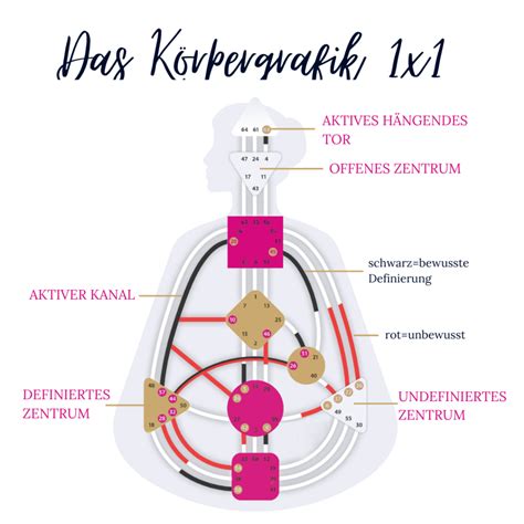 Human Design Körpergrafik Chart Bereiche erklärt | Human Design & Coaching