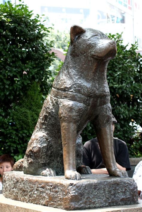 Hachiko Statue, Shibuya, Tokyo | 27 July 2008 "Hachikō was a… | Flickr