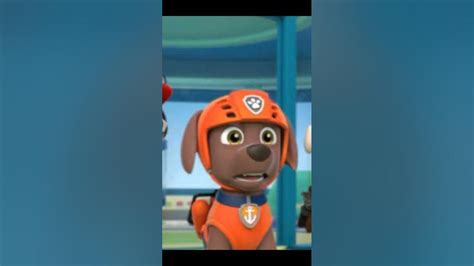 Sad Zuma paw patrol edit 🧡💔 #pawpatrol #zuma #zumapawpatrol - YouTube