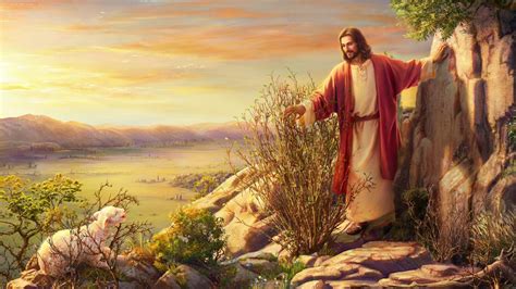 Lost Sheep Jesus On Stones Plants HD Jesus Wallpapers | HD Wallpapers | ID #81966