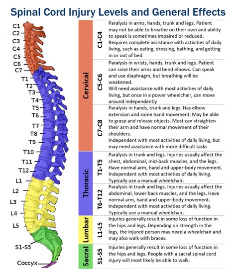 What is a Cervical Spinal Cord Injury? | Hamilton Personal Injury Lawyers