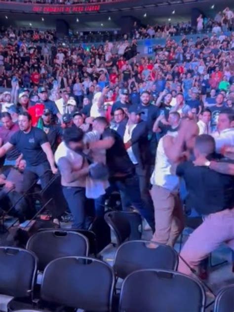 UFC fan knocked out in wild brawl at Mexico Fight Night: ‘Craziest thing I’ve ever seen’ | news ...