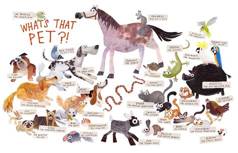 Some Pets | Book by Angela DiTerlizzi, Brendan Wenzel | Official Publisher Page | Simon & Schuster