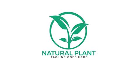 Natural Plant Logo Design by IKAlvi | Codester