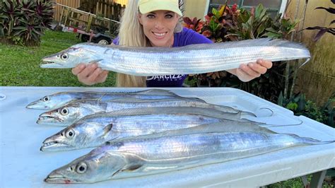 Florida Inshore Fishing for Ribbonfish (how to catch, clean & cook ...