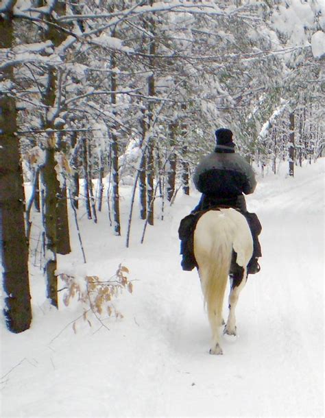 Winter Horseback Riding Tips - Synergist Saddles