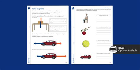 Force Diagrams Independent Learning Worksheet | Beyond