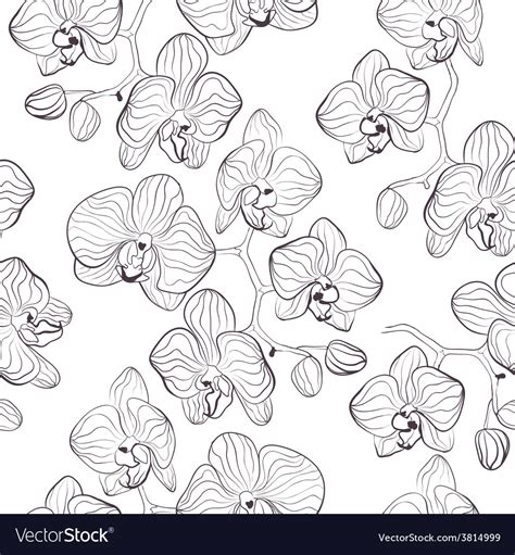 Seamless flower pattern with orchids Royalty Free Vector