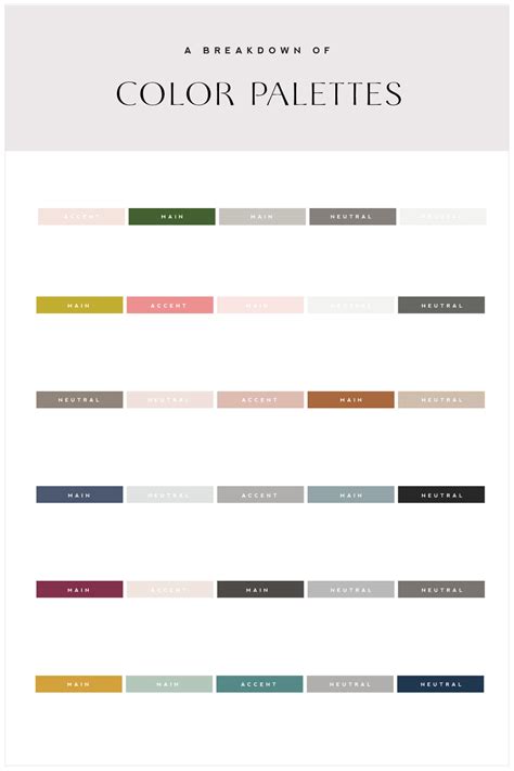 Create Your Brand Color Palette using Color Theory | Saffron Avenue