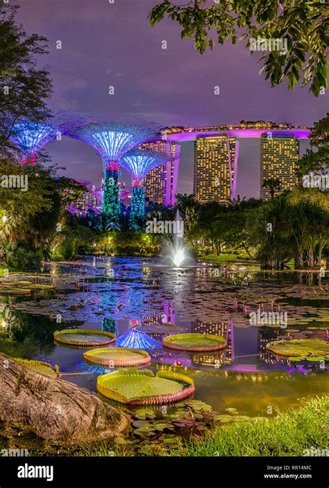 Illuminated Gardens by the Bay at night with the Marina Bay Sands Hotel ...