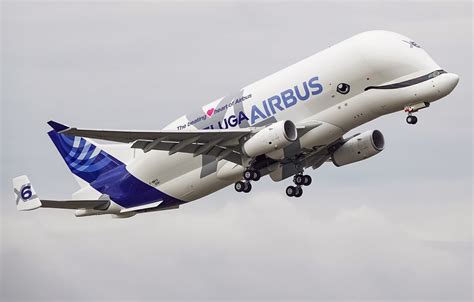 Final Airbus Beluga XL Performs 1st Flight