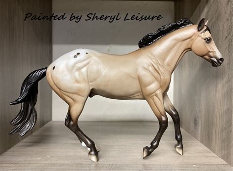 Stock Horse Buckskin Appaloosa – Leisure Art Studio