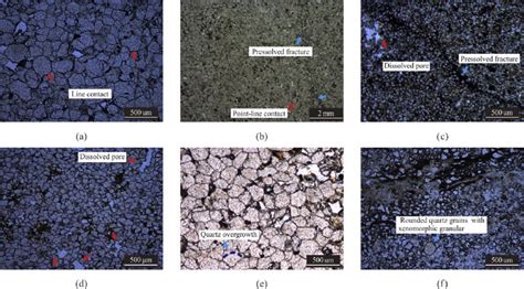 The main diagenesis types of reservoir rocks of Jinbaoshi Formation ...