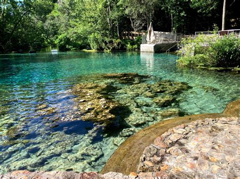 It's Never Not a Good Time to Visit Florida's Incredible Natural Springs | Sarasota Magazine