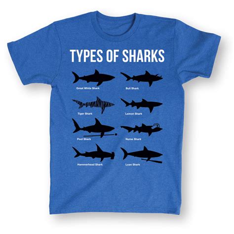 Instant Message - Types of Sharks Funny Blue T-Shirt-Great White Shark Species Shirt - Walmart ...