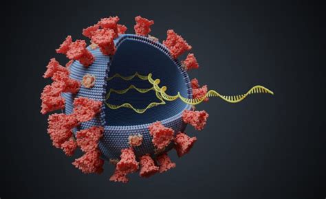 CRISPR-Based Editing of RNA Viruses Developed - World Stem Cell Summit