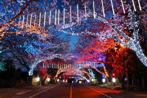 Jeju Island Light Garden