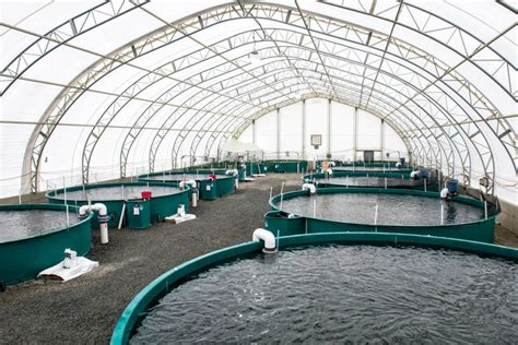 Fish farming done responsibly - Aquaculture Magazine | Fish farming ...