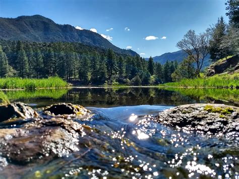 Pine Valley Utah, quite nice (3722 * 2792) #nature #photography #travel | Pine valley utah, Pine ...