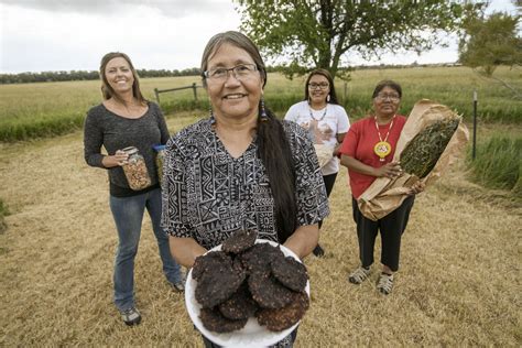 Ancestral food gathering group documents Shoshone foods – Sheridan Media