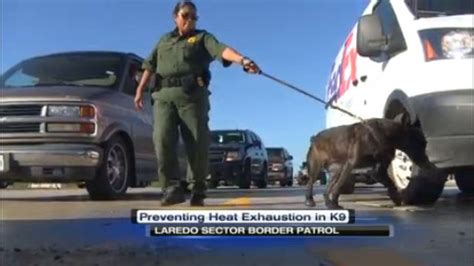 Preventing Heat Exhaustion For Border Patrol Dogs