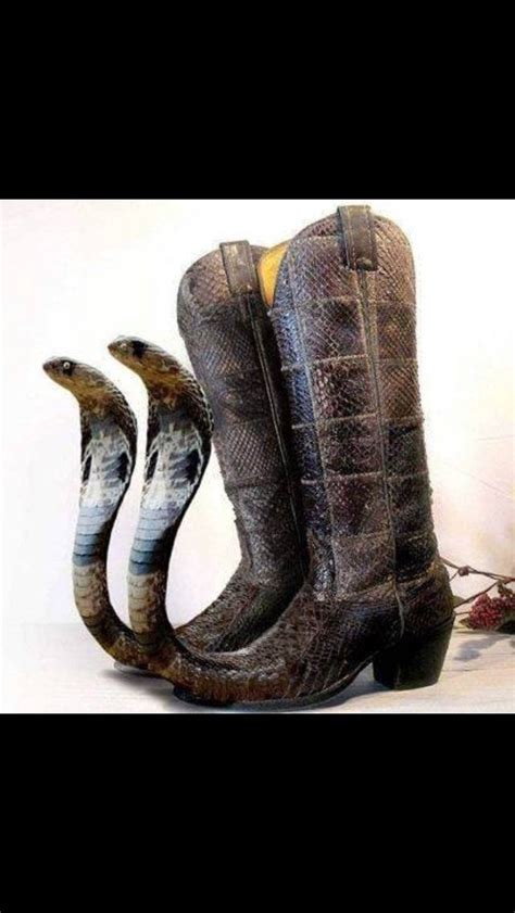 Mexican pointy boots just got one upped : r/funny