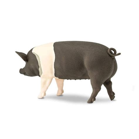 Hampshire Pig | Farm | Safari Ltd®