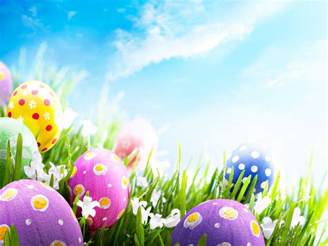 16 Easter Backgrounds for Zoom, Teams & Skype - Funny Meeting Backgrounds