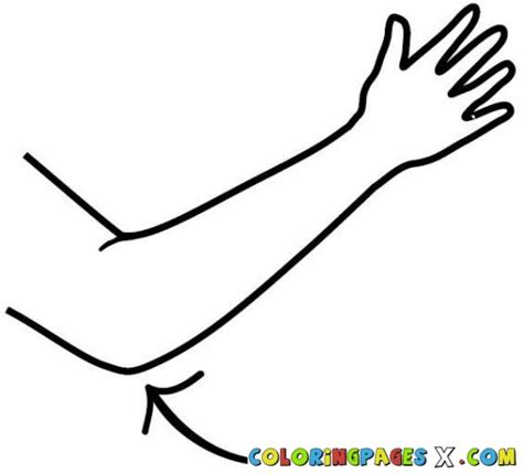 Elbow clipart - Clipground