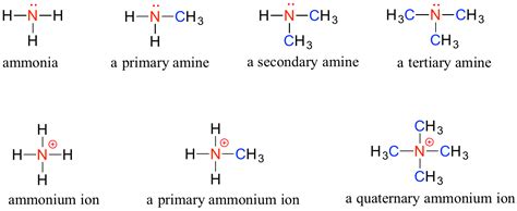 1.2: Functional groups and organic nomenclature - Chemistry LibreTexts