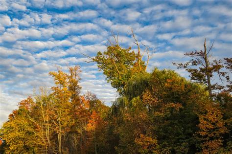 See 51 photos of gorgeous fall foliage scenery around Northeast Ohio ...