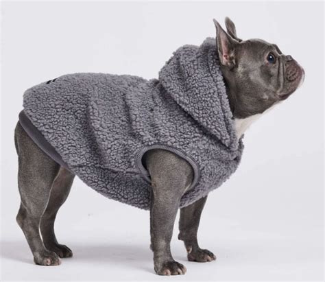 Stylish Sherpa Dog Jackets : Sherpa dog jacket