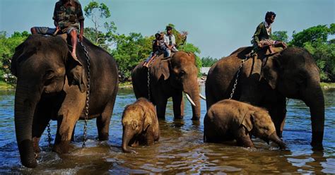 Namdapha National Park - Walk the wilderness - India Chalk