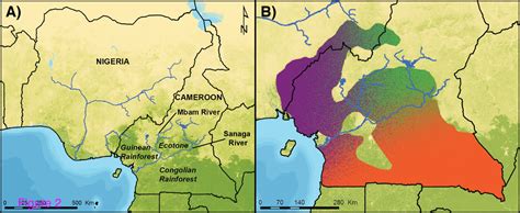 Studies of Most Endangered Chimpanzees Show Complex Evolutionary Past ...