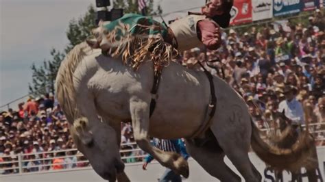 Animal rights group sue to stop 3-day rodeo at Petco Park in San Diego ...