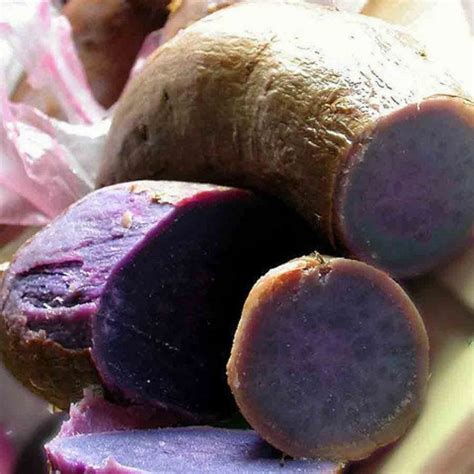 Anthocyanin - Anthocyans Latest Price, Manufacturers & Suppliers