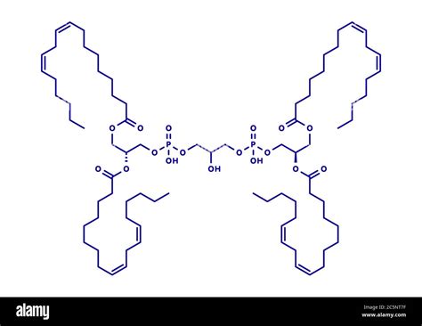 Tetralinoleoyl cardiolipin Cut Out Stock Images & Pictures - Alamy