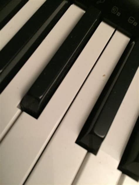 Free stock photo of electronic, keyboard, piano