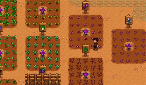 The 10 Best Fall Crops in Stardew Valley