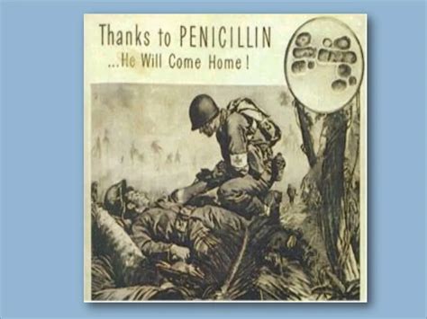 PPT - Fleming, Florey and Chain: The discovery and development of Penicillin PowerPoint ...