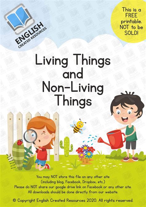 Living And Non Living Things – English Created Resources