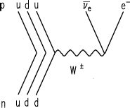 Physikalisches Institut Heidelberg - PERKEO Theory