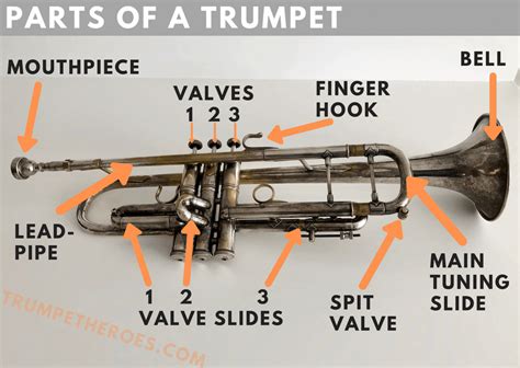 Parts of a Trumpet: The Ultimate Guide to Trumpet Parts - Trumpet Heroes