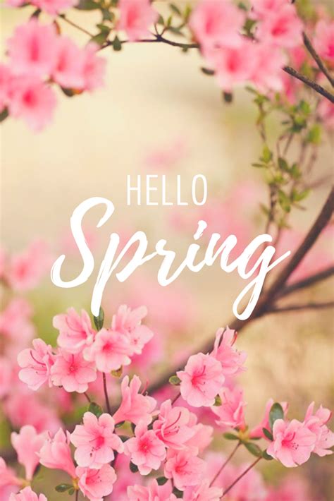 Hello Spring Wallpapers - Wallpaper Cave