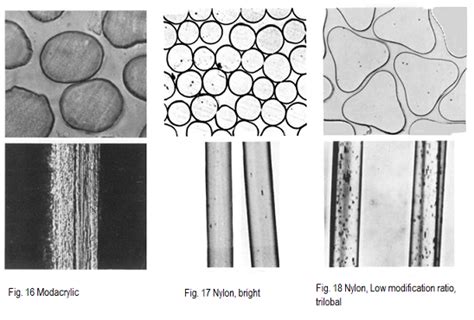 Microscopic view of the natural and man-made fibre | Microscopic, A level textiles, Fiber